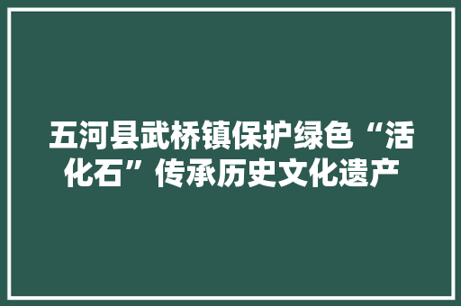 五河县武桥镇保护绿色“活化石”传承历史文化遗产