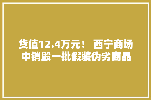 货值12.4万元！ 西宁商场中销毁一批假装伪劣商品