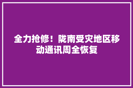 全力抢修！陇南受灾地区移动通讯周全恢复