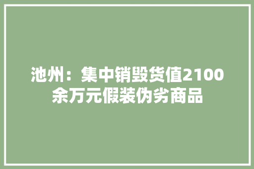 池州：集中销毁货值2100余万元假装伪劣商品