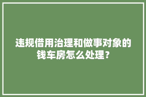 违规借用治理和做事对象的钱车房怎么处理？