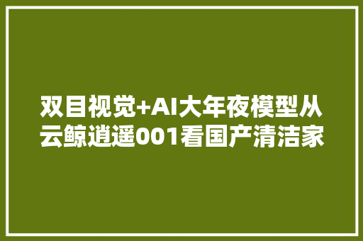 双目视觉+AI大年夜模型从云鲸逍遥001看国产清洁家电新趋势