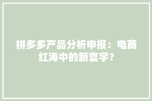 拼多多产品分析申报：电商红海中的新寰宇？