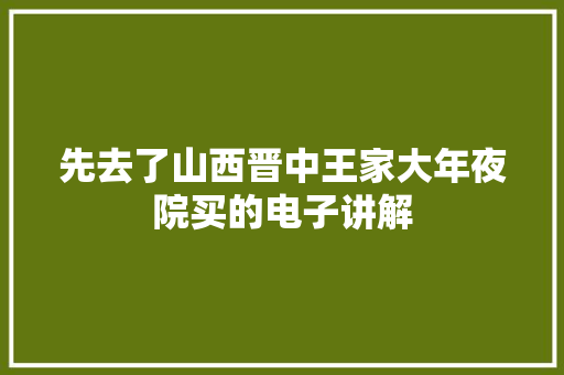 先去了山西晋中王家大年夜院买的电子讲解