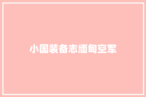 小国装备志缅甸空军