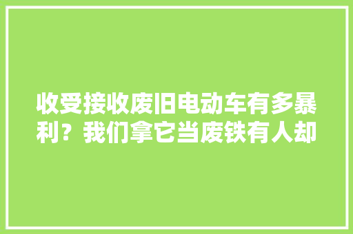 收受接收废旧电动车有多暴利？我们拿它当废铁有人却靠它年入百万