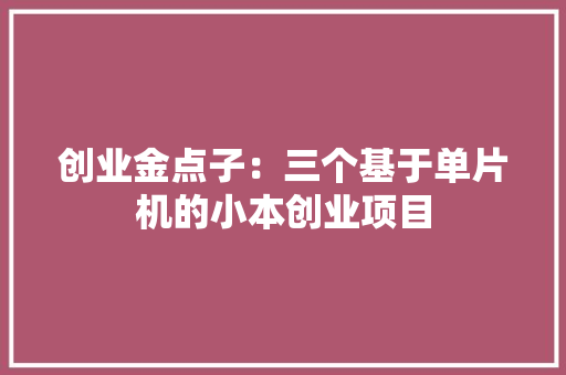 创业金点子：三个基于单片机的小本创业项目