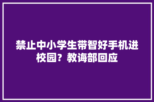 禁止中小学生带智好手机进校园？教诲部回应