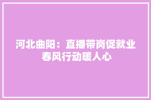 河北曲阳：直播带岗促就业 春风行动暖人心