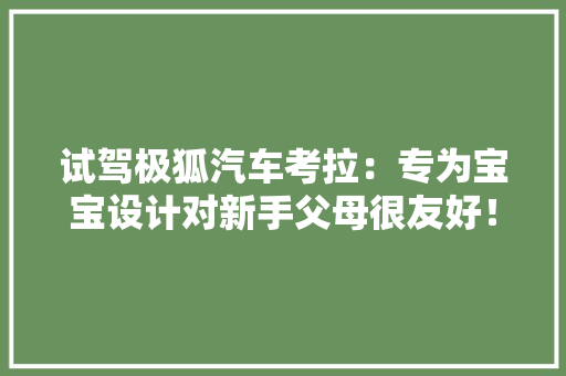 试驾极狐汽车考拉：专为宝宝设计对新手父母很友好！