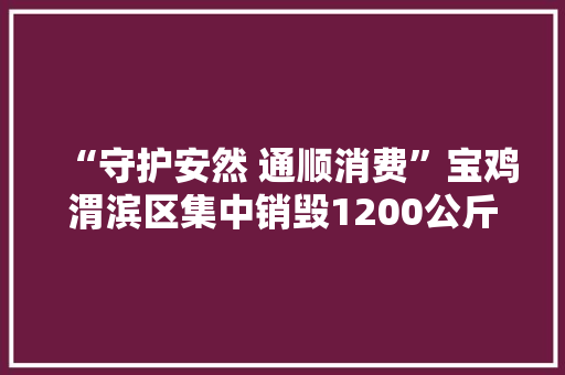 “守护安然 通顺消费”宝鸡渭滨区集中销毁1200公斤假装伪劣产品
