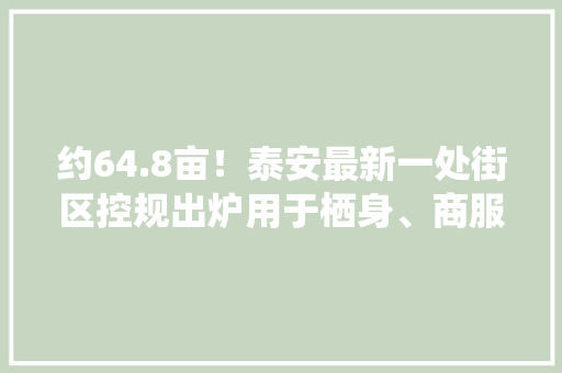 约64.8亩！泰安最新一处街区控规出炉用于栖身、商服、医疗