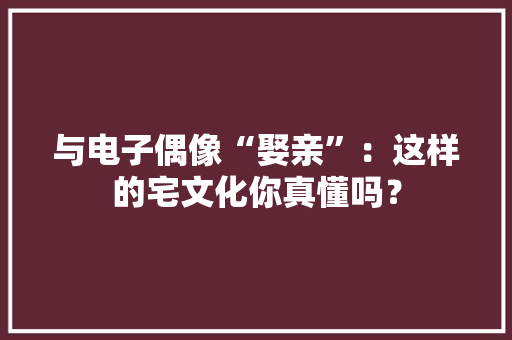 与电子偶像“娶亲”：这样的宅文化你真懂吗？