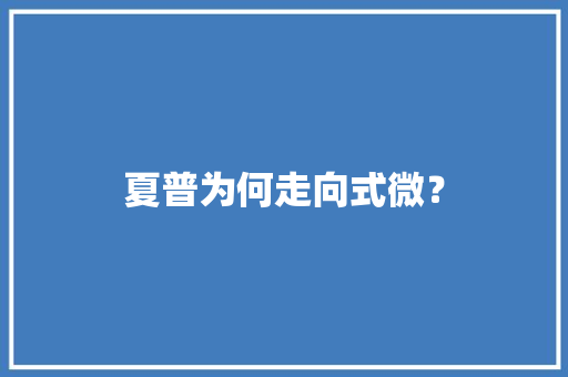 夏普为何走向式微？