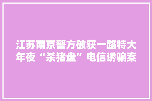 江苏南京警方破获一路特大年夜“杀猪盘”电信诱骗案