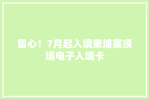 留心！7月起入境柬埔寨须填电子入境卡