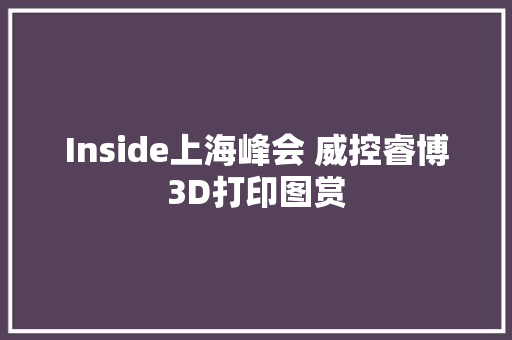 Inside上海峰会 威控睿博3D打印图赏