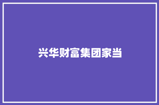 兴华财富集团家当