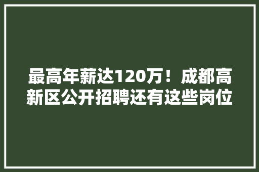 最高年薪达120万！成都高新区公开招聘还有这些岗位→