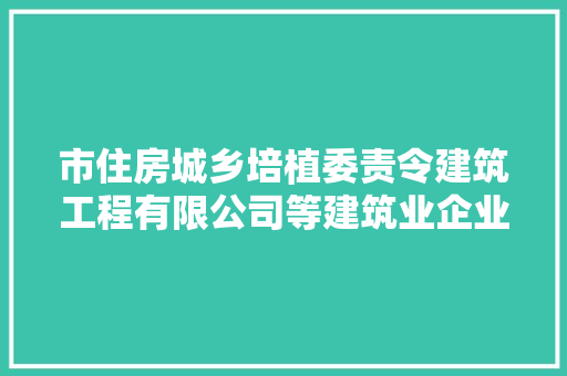 市住房城乡培植委责令建筑工程有限公司等建筑业企业限日整改通知书记