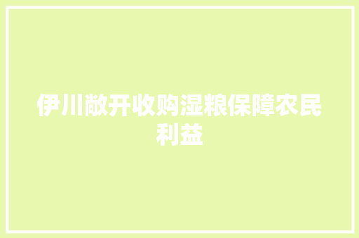 伊川敞开收购湿粮保障农民利益