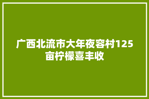 广西北流市大年夜容村125亩柠檬喜丰收
