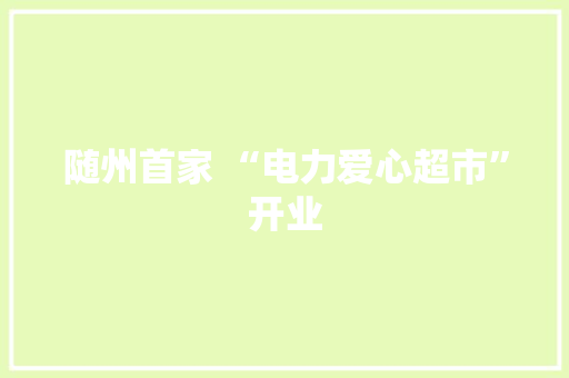 随州首家 “电力爱心超市”开业