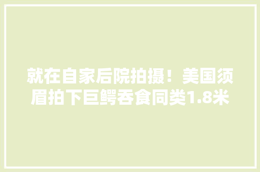 就在自家后院拍摄！美国须眉拍下巨鳄吞食同类1.8米长只剩后脚20秒被完全吞下