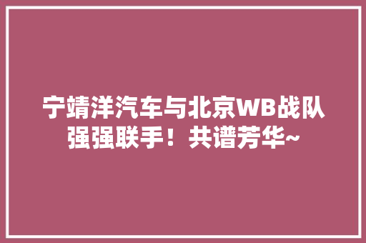 宁靖洋汽车与北京WB战队强强联手！共谱芳华~