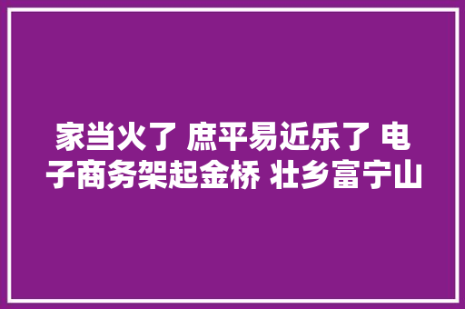 家当火了 庶平易近乐了 电子商务架起金桥 壮乡富宁山货走俏