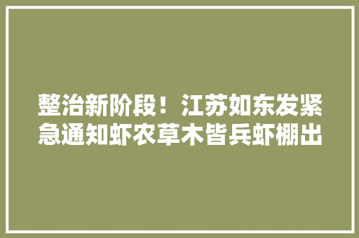 整治新阶段！江苏如东发紧急通知虾农草木皆兵虾棚出租单价上涨2000元