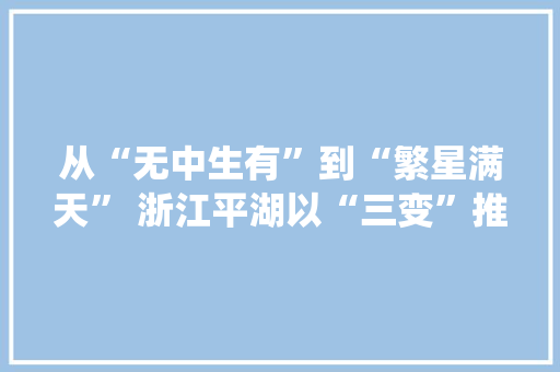 从“无中生有”到“繁星满天” 浙江平湖以“三变”推动传统制造家当转型进级