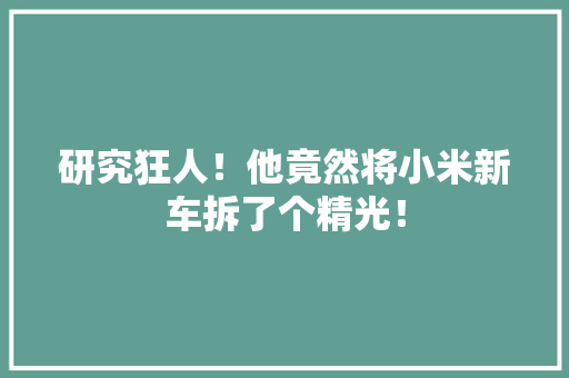 研究狂人！他竟然将小米新车拆了个精光！