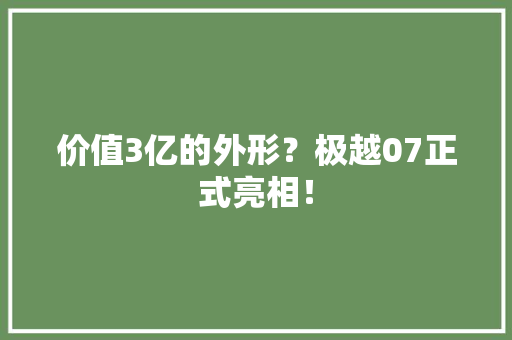 价值3亿的外形？极越07正式亮相！
