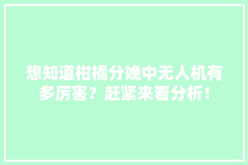 想知道柑橘分娩中无人机有多厉害？赶紧来看分析！