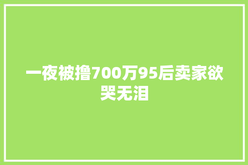 一夜被撸700万95后卖家欲哭无泪