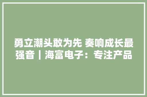 勇立潮头敢为先 奏响成长最强音｜海富电子：专注产品研发 助力智能制造