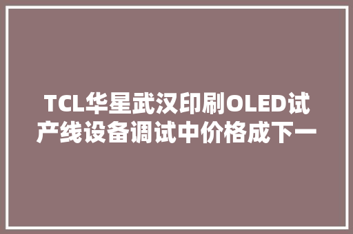 TCL华星武汉印刷OLED试产线设备调试中价格成下一代显示技能破局关键｜家博会消费风向