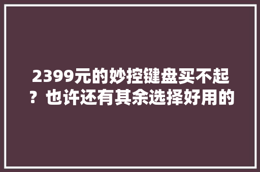 2399元的妙控键盘买不起？也许还有其余选择好用的无线键盘推荐
