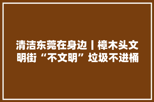 清洁东莞在身边丨樟木头文明街“不文明”垃圾不进桶 违停随处见