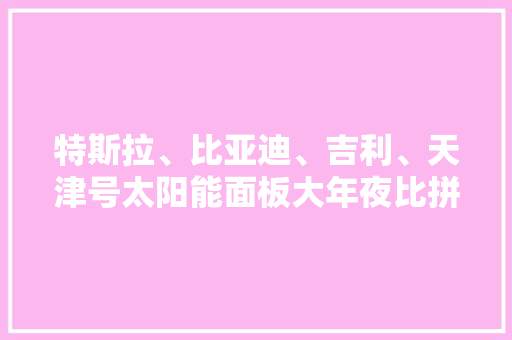 特斯拉、比亚迪、吉利、天津号太阳能面板大年夜比拼哪种更具优势？