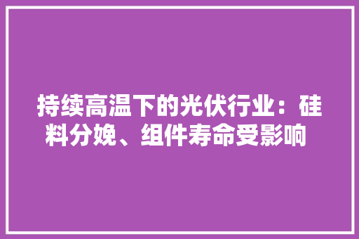 持续高温下的光伏行业：硅料分娩、组件寿命受影响 发电量虽增加但不只是因为热