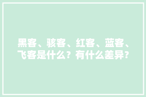 黑客、骇客、红客、蓝客、飞客是什么？有什么差异？