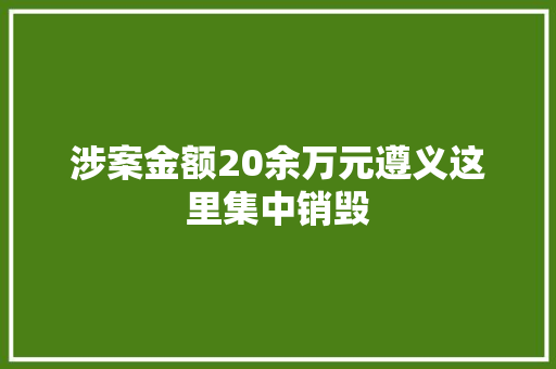 涉案金额20余万元遵义这里集中销毁