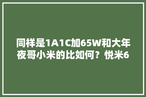同样是1A1C加65W和大年夜哥小米的比如何？悦米65W氮化镓快充拆解