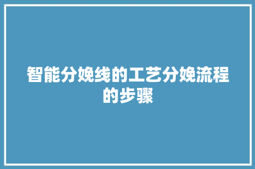 智能分娩线的工艺分娩流程的步骤