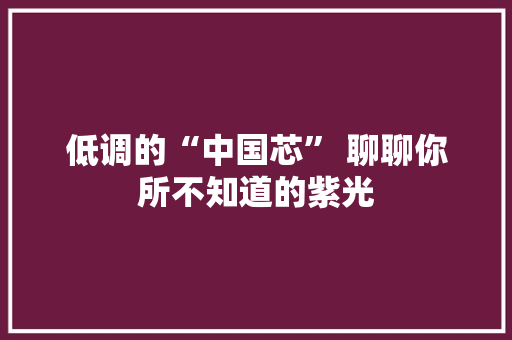 低调的“中国芯” 聊聊你所不知道的紫光