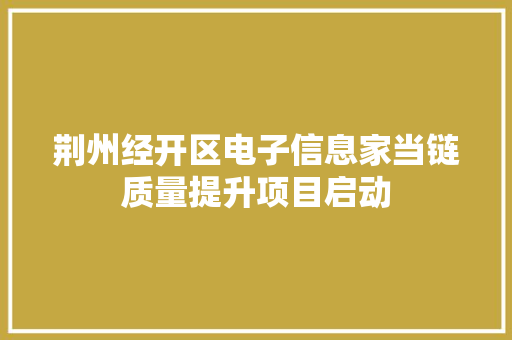 荆州经开区电子信息家当链质量提升项目启动