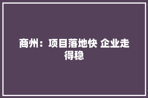 商州：项目落地快 企业走得稳
