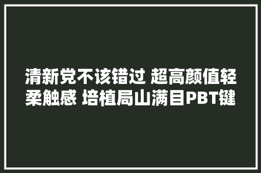 清新党不该错过 超高颜值轻柔触感 培植局山满目PBT键帽评测